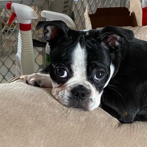 Meet your Posher, Lea